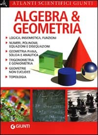 Algebra e geometria