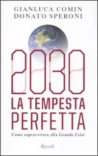 2030. La tempesta perfetta. Come sopravvivere alla grande crisi
