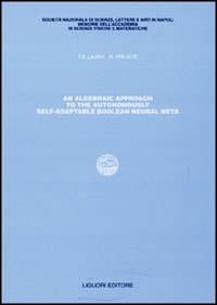 Algebraic approach to the autonomously self-adaptable boolean neural nets (An)