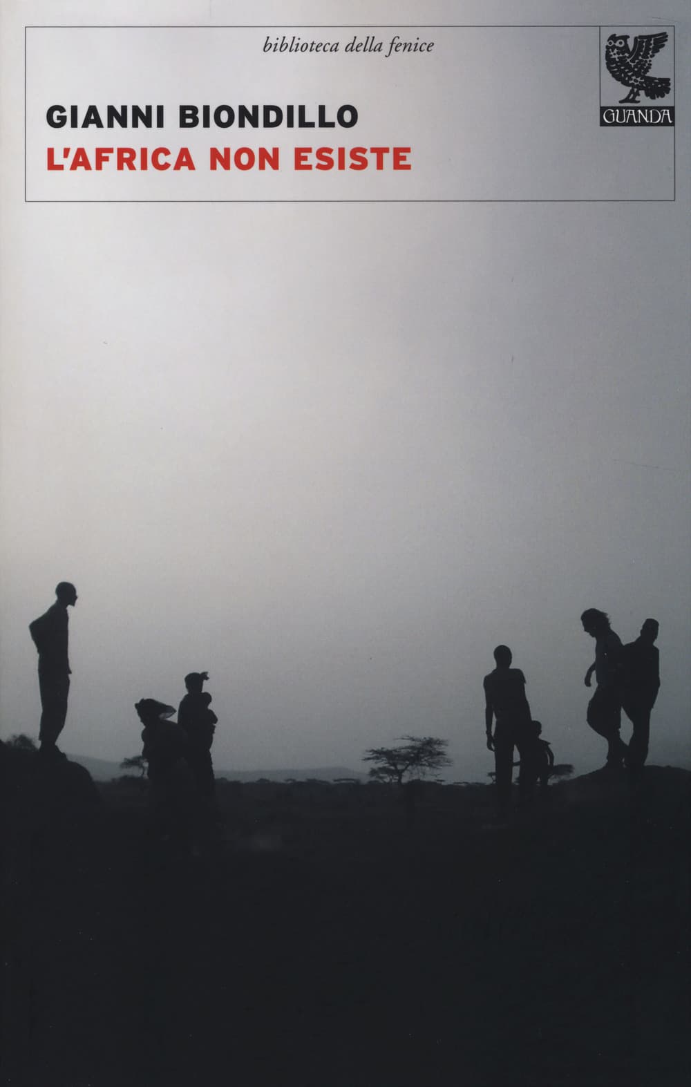 Africa non esiste