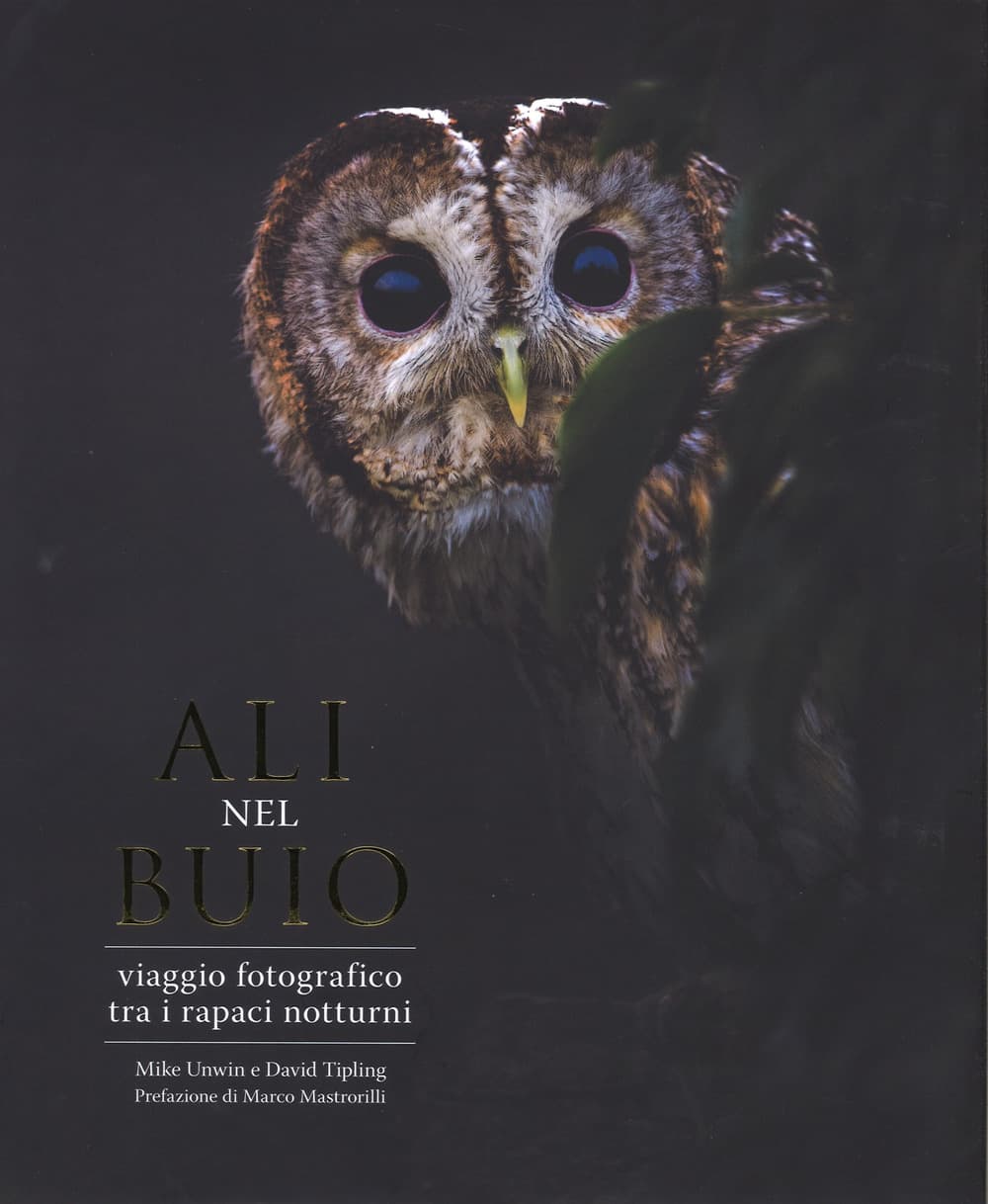 Ali nel buio. Viaggio fotografico tra i rapaci notturni