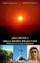 Alla scuola della Regina della pace. Meditazioni sui messaggi di Medjugorie