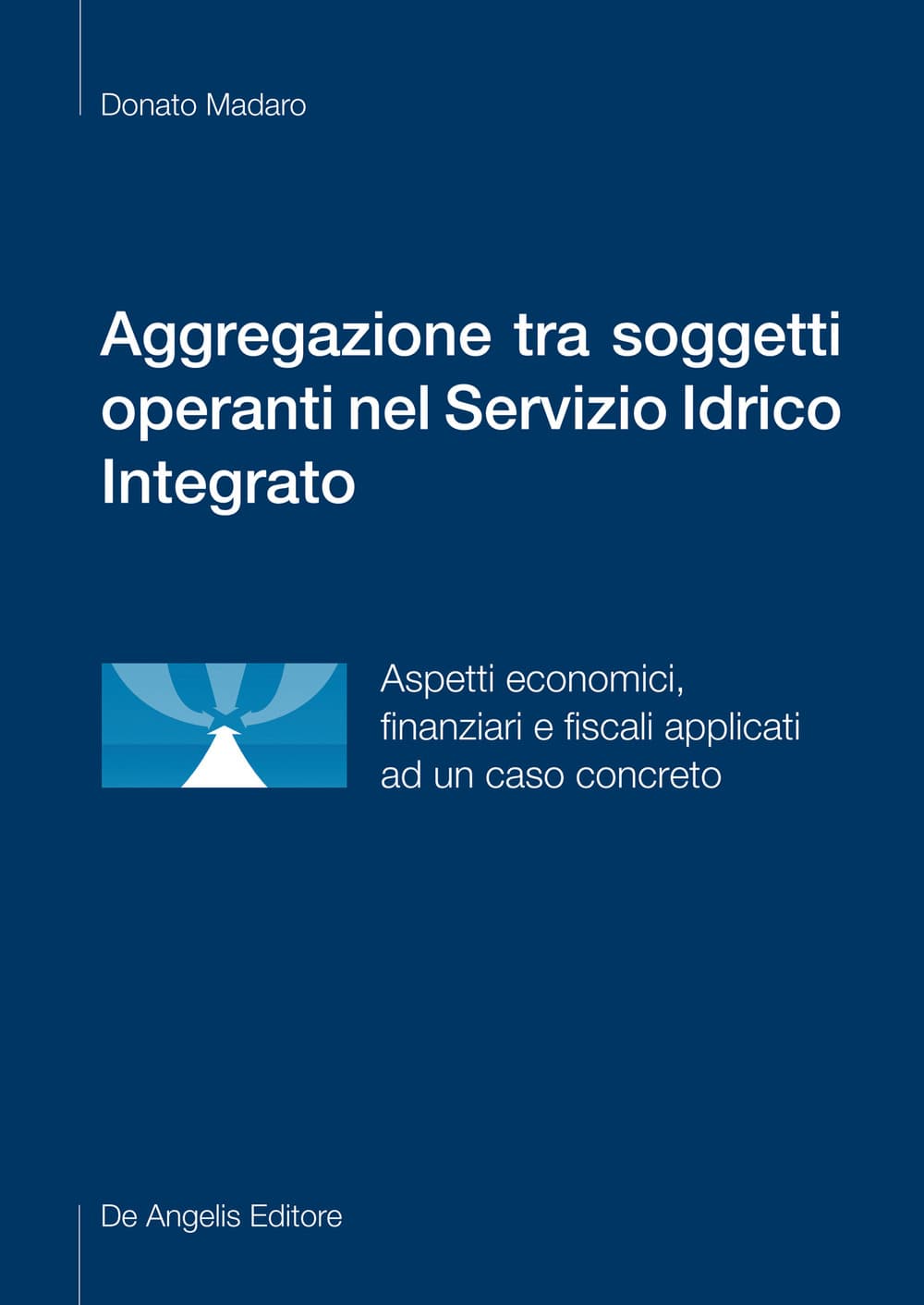 Aggregazione tra soggetti operanti nel Servizio Idrico Integrato. Aspetti economici, finanziari e fiscali applicati ad un caso concreto