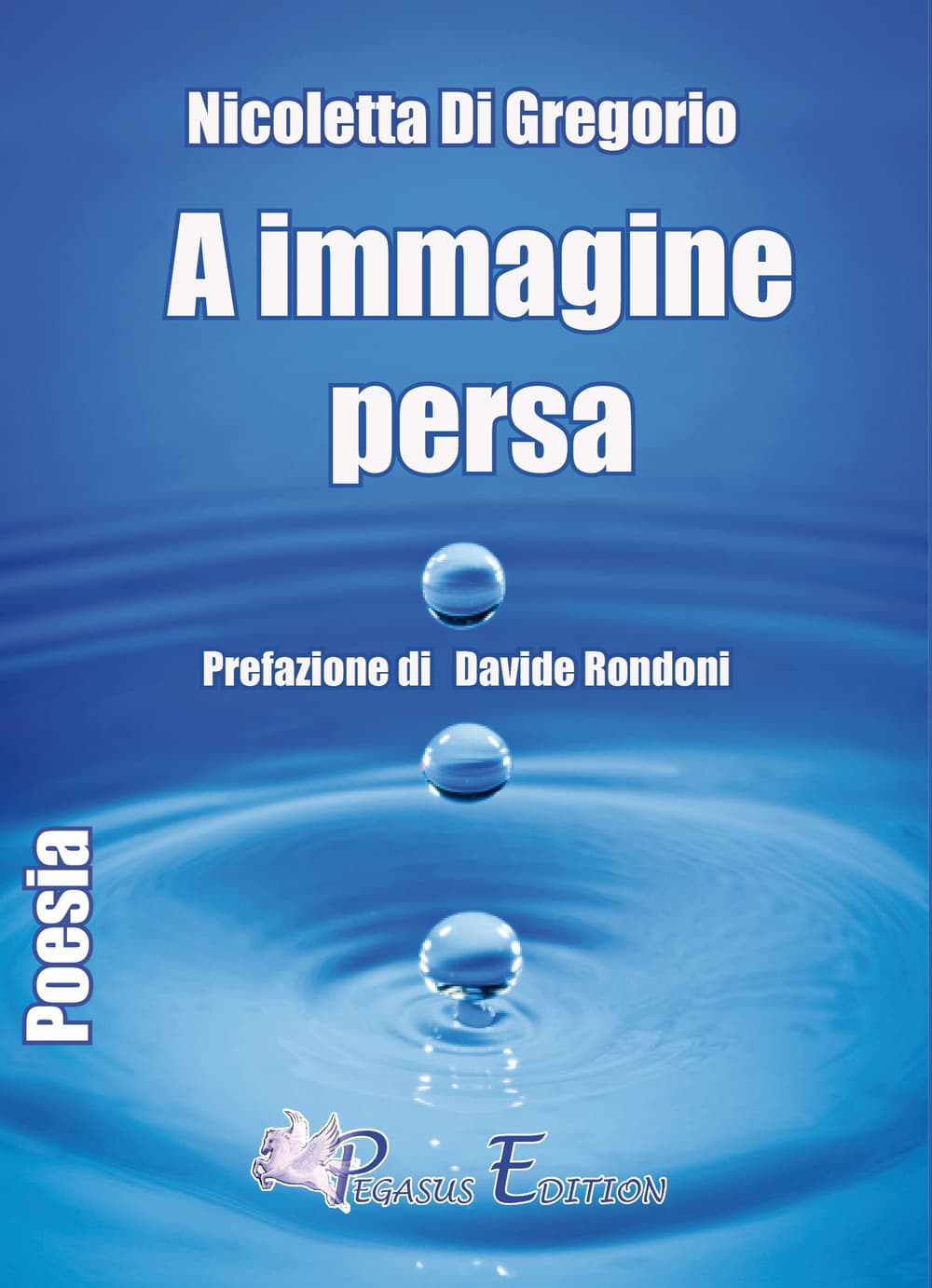 A immagine persa