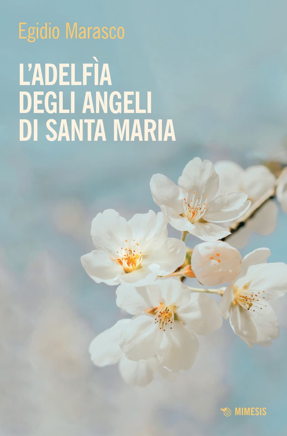 Adelfìa degli angeli di Santa Maria